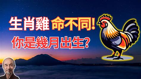 屬雞五行缺什麼|生肖雞的五行？不同屬性的屬雞人的性格有什麼不同？